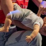 sede aperta novembre